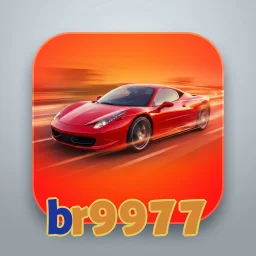 br9977